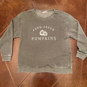 Pink Lily Farm Fresh Pumpkin Sweater Size Large